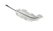 plume