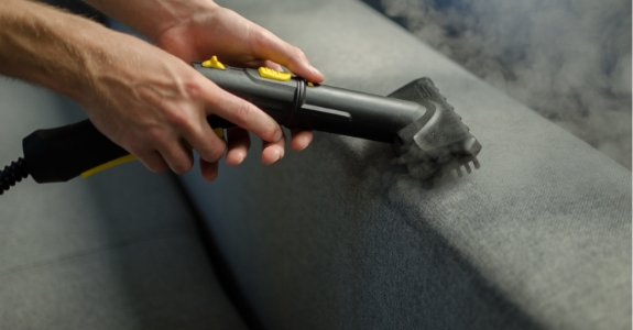 Un chien et un aspirateur