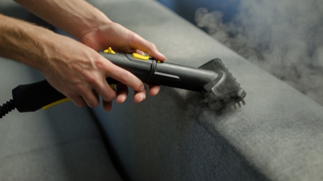 Un chien et un aspirateur