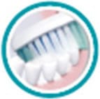 Face int&eacute;rieure