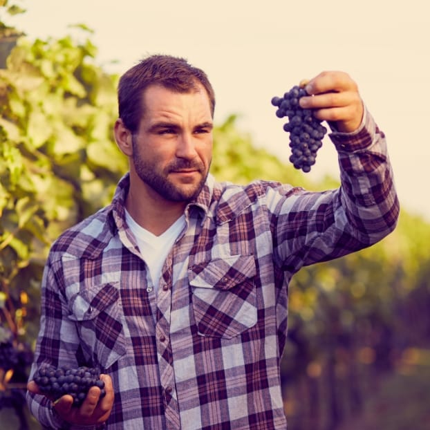 Les vins français	dans le monde