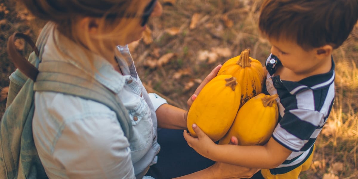 Photo de personnes recoltant des légumes