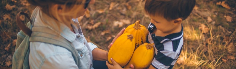 Photo de personnes recoltant des légumes