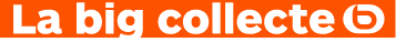 Encart big collecte