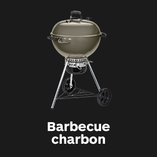 Barbecues à charbon de bois