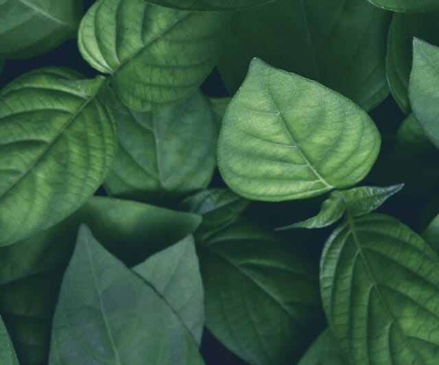 Mur de télés cathodiques