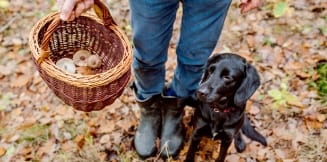 photo d'une paire de botte et d'un panier rempli