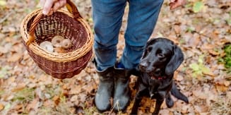 photo d'une paire de botte et d'un panier rempli