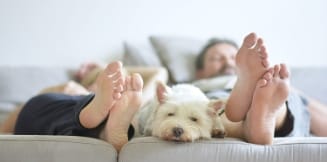 photo d'un chien se reposant entre 2 personnes