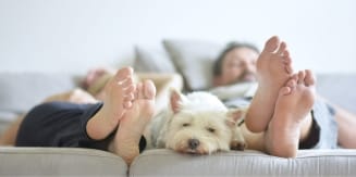 photo d'un chien se reposant entre 2 personnes