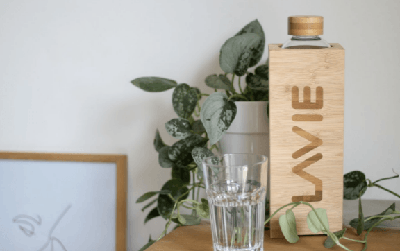 Purificateur d’eau Lavie 