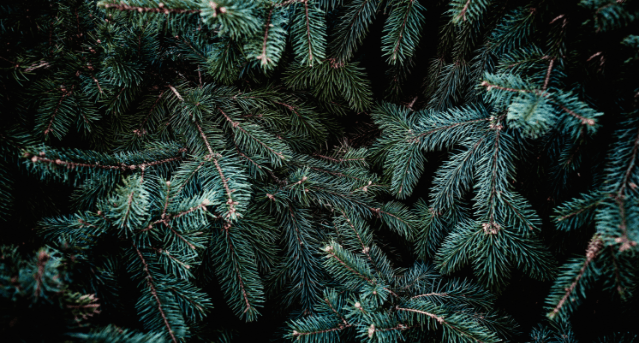 Illustration webzine noël plus responsable