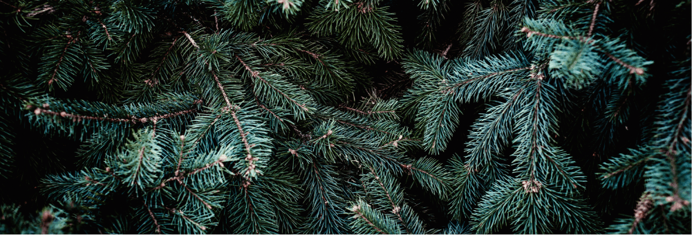 Illustration webzine noël plus responsable